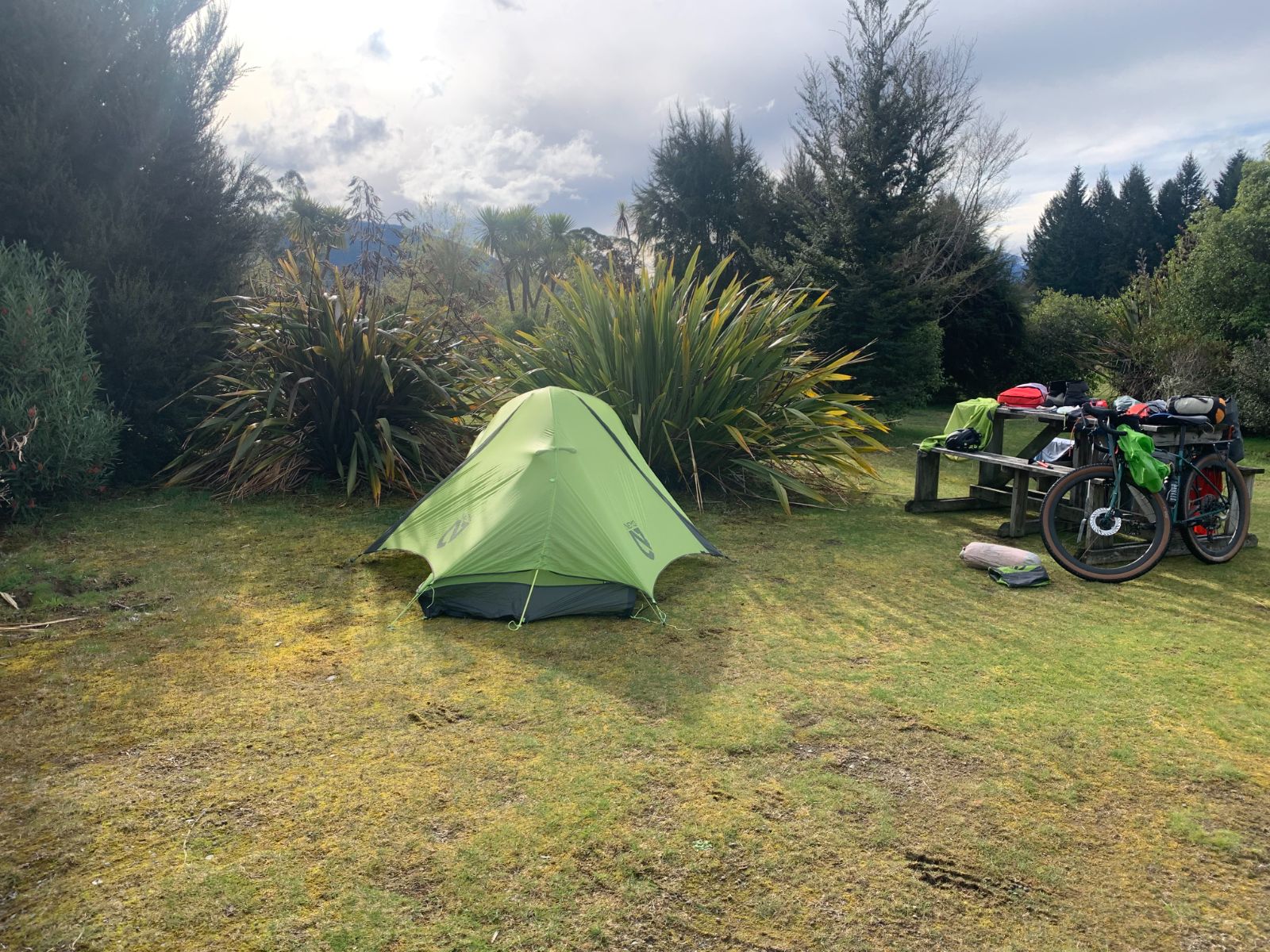 A small green tent pitched on grass beside flax bushes, with a loaded gravel bike leaning on a picnic table covered in drying gear